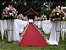 Passadeira Tapete Vermelho Para Casamento, Festas 15 Metros de comprimento - Imagem 3
