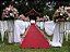 Passadeira Tapete Vermelho Para Casamento, Festas 25 Metros de comprimento - Imagem 3