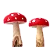2 Cogumelos de Madeira - Colorido - Imagem 1