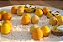 30 mini colmeias - Imagem 1