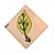 Quebra-cabeças Botânica - Folha - Imagem 1
