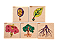 Kit Quebras-cabeças estudos Botânicos Montessori - Imagem 2