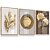 Quadro Decorativo Moderno Flores Folhagens Dourada Ornamento Minimalista Kit 3 Quadros - Imagem 5