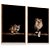 Quadro Decorativo Casal Leoa Leão Olhar Natureza Kit 2 - Imagem 4