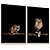 Quadro Decorativo Casal Leoa Leão Olhar Natureza Kit 2 - Imagem 1