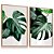 Quadro Decorativo Folhas Verdes Naturais Costela de Adão Botânica Kit 2 - Imagem 4