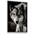 Quadro Decorativo Lobo Preto e Branco Animal - Imagem 1
