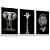 Quadro Decorativo Animais Elefante Girafa Leão Preto e Branco Kit 3 Quadros - Imagem 2