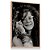 Quadro Decorativo Música Foto Janis Joplin Preto e Branco - Imagem 4