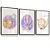 Quadro Infantil Raposinha Coelhinho Balão Kit 3 Quadros - Imagem 3