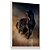 Quadro Decorativo Cavalo Selvagem Negro Corrida Deserto - Imagem 2