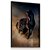 Quadro Decorativo Cavalo Selvagem Negro Corrida Deserto - Imagem 1