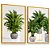 Quadro Decorativo Folhagem Verde Palmeira Coqueiro Vaso Kit 2 - Imagem 4