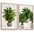 Quadro Decorativo Folhagem Verde Palmeira Coqueiro Vaso Kit 2 - Imagem 3