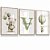 Quadro Infantil Raposinha Balões Floresta Kit 3 Quadros - Imagem 2
