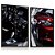 Quadro Estética Automotiva Carro Lava Rápido Carro Luxo - Imagem 1