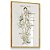 Quadro Decorativo Sistema Linfático Corpo Humano Descrições Inglês Flores Spa - Imagem 4