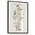 Quadro Decorativo Sistema Linfático Corpo Humano Descrições Inglês Flores Spa - Imagem 2