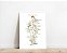 Quadro Decorativo Sistema Linfático Corpo Humano Descrições Inglês Flores Spa - Imagem 1