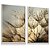 Quadro Decorativo Flor Dente de Leão Gotas de Orvalho Natureza Kit 2 - Imagem 3