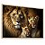 Quadro Decorativo Família Leões Leão Leoa 1 Filhote Animais - Imagem 4