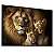 Quadro Decorativo Família Leões Leão Leoa 1 Filhote Animais - Imagem 1