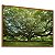 Quadro Decorativo Árvore Grande Galhos Verdes Grama Natureza - Imagem 2