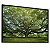 Quadro Decorativo Árvore Grande Galhos Verdes Grama Natureza - Imagem 1