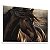 Quadro Decorativo Cavalo Crina Horse Animal Marrom - Imagem 3