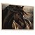 Quadro Decorativo Cavalo Crina Horse Animal Marrom - Imagem 4
