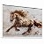 Quadro Decorativo Cavalo Crina Horse Animal Cores Neutras Pintura - Imagem 4