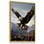 Quadro Decorativo Águia Asas Abertas Voando Nobreza Imponente - Imagem 3