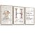 Quadro Decorativo Nome Personalizado Salmos Ovelinha Rosa Estrelas Kit 3 Quadros - Imagem 2