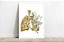 Quadro Decorativo Anatomia Pulmão Tons Flores Verdes Medicina Clínica - Imagem 1
