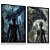 Quadro Decorativo Xaden Riorson Violet Sorrengail Sgaeyl Tairn Quarta Asa - Imagem 1