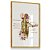 Quadro  Decorativo Obstetra Placenta Obstetrícia Medicina Fetal Anatomia - Imagem 3