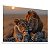 Quadro Decorativo Família Leão Leoa Por do Sol Animais Savana - Imagem 3