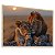 Quadro Decorativo Família Leão Leoa Por do Sol Animais Savana - Imagem 4