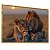 Quadro Decorativo Família Leão Leoa Por do Sol Animais Savana - Imagem 5