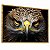 Quadro Decorativo Águia Força Coragem Animal Natureza - Imagem 5