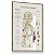 Quadro Decorativo Sistema Endócrino Endocrinologista Clínica Médica Anatomia - Imagem 4