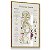 Quadro Decorativo Sistema Endócrino Endocrinologista Clínica Médica Anatomia - Imagem 6