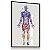 Quadro Decorativo Anatomia Músculos Corpo Humano Medicina Fisioterapia - Imagem 5