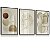 Quadro Decorativo Folhas Folhagens Abstrato Boho Tons Pastéis Flores - Imagem 5