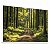 Quadro Decorativo Floresta Árvores Caminhos Natureza Luz do Sol Paisagem - Imagem 4