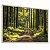 Quadro Decorativo Floresta Árvores Caminhos Natureza Luz do Sol Paisagem - Imagem 5