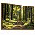 Quadro Decorativo Floresta Árvores Caminhos Natureza Luz do Sol Paisagem - Imagem 3