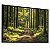 Quadro Decorativo Floresta Árvores Caminhos Natureza Luz do Sol Paisagem - Imagem 2
