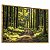 Quadro Decorativo Floresta Árvores Caminhos Natureza Luz do Sol Paisagem - Imagem 6