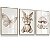 Kit 3 Quadros Decorativos Infantil Coelhinha Cogumelo Flores Borboleta Rosa - Imagem 3